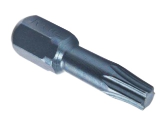 Dílenské vybavení –  Rawlplug Bit TORX25 25