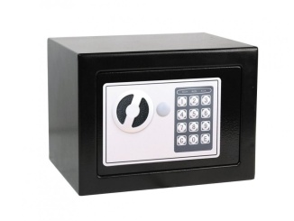 Zabezpečení domácnosti –  G21 230 digitální