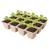 Sadbovače